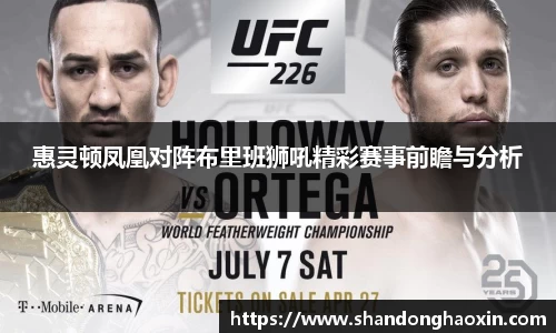 惠灵顿凤凰对阵布里班狮吼精彩赛事前瞻与分析