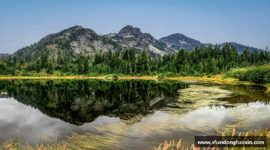 mksport每一份汗水，都是荣誉的证明！